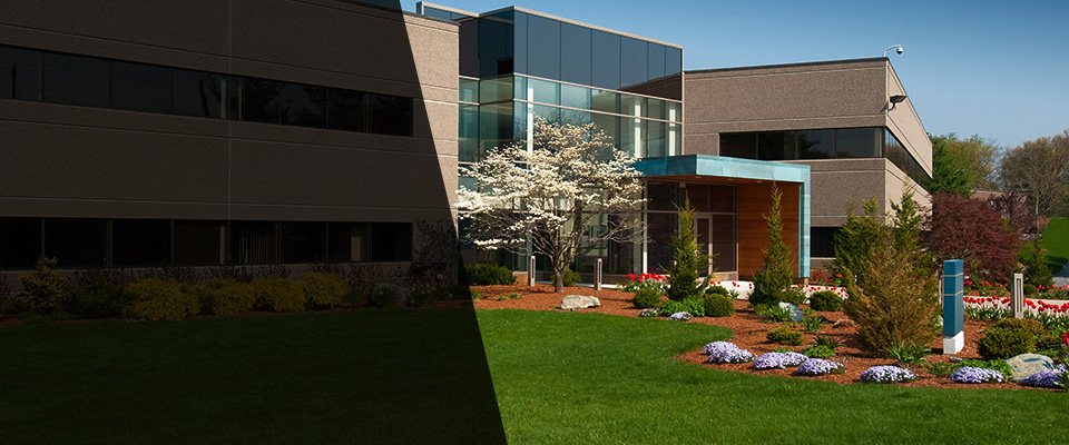 Minnetonka Landscapers